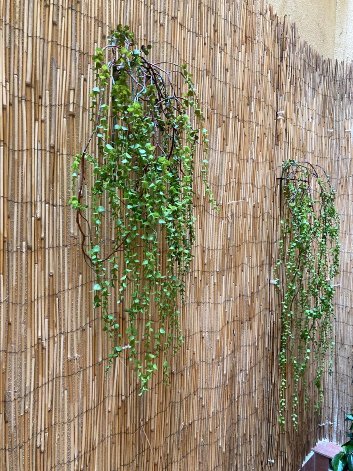 Mon Art Appartement Logroño Buitenkant foto